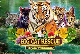 Big Cat Rescue Megaways