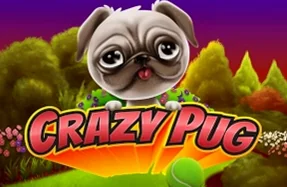 Crazy Pug